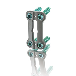 Acp Placa Cervical