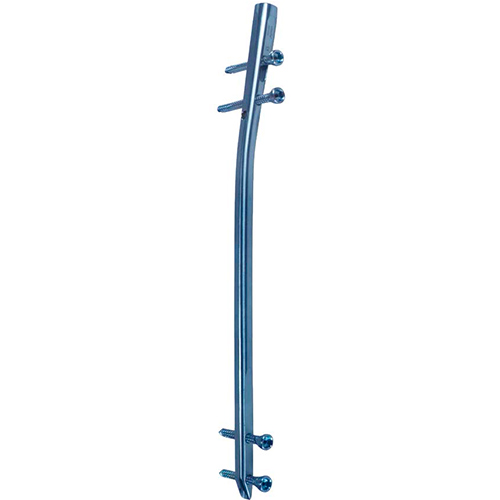 dt-tibia